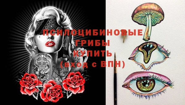 ALPHA PVP Алексин