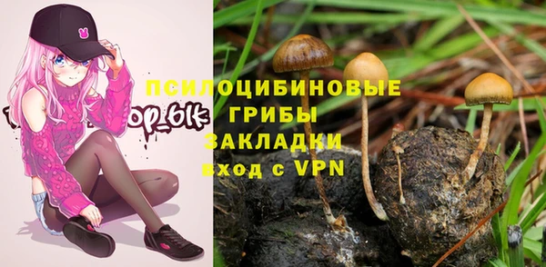 гидра Алзамай
