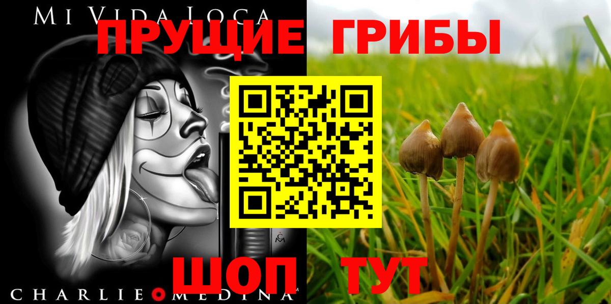 Псилоцибиновые грибы MAGIC MUSHROOMS Курганинск